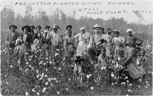 奴隶制与工业化的利益争夺战：棉花如何引发美国南北战争？