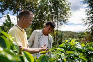 中国咖啡种植-小豆子大门道 云南咖农蔡晴开的咖啡种植经