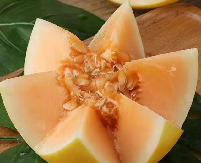 黄金瓜在市场上能卖10元一斤，种植一亩能赚多少钱