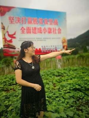 药材种植qq群-小小瓜蒌，遍地茱萸——一个IT女老板的农业梦
