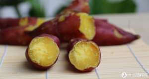 小香薯种植方法-番薯届的“网红小萝莉”，一年仅产一季的天目山小香薯开挖啦