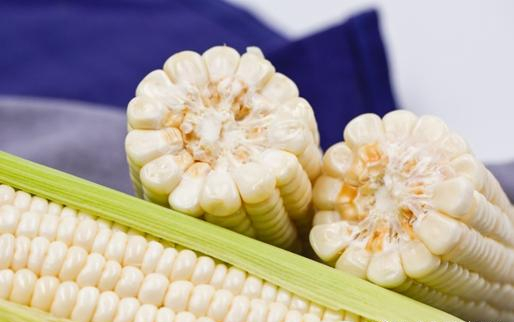 江苏鲜食玉米品种简介及春播注意技术