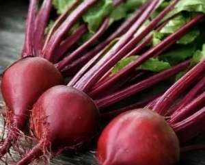 红菜头的种植方法-根甜菜怎么种植和管理，才能生长出高产量的根甜菜呢？