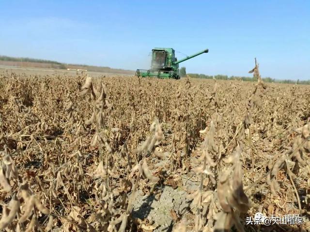 黑龙江省大豆高产栽培技术
