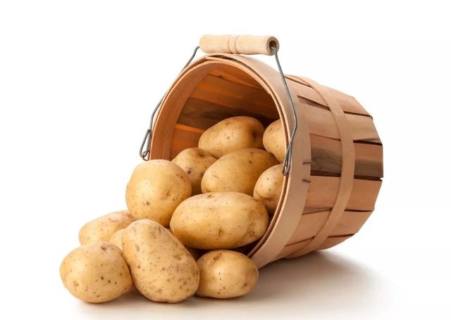 好好学农｜土豆种植技巧多，想要土豆高产？先掌握8大秘诀，让你收益翻一番