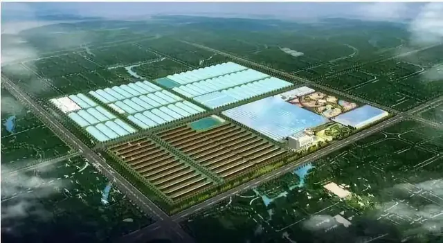 陕西蔬菜种植-750多万亩，1700多万吨陕西人的“菜篮子”越来越丰富