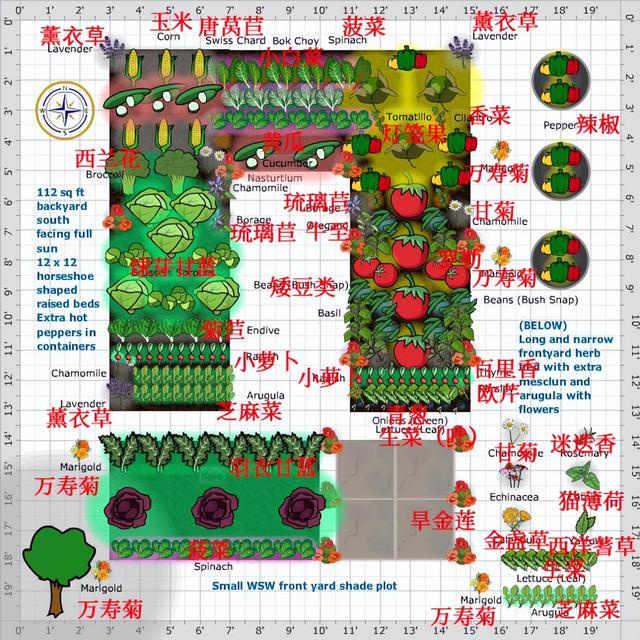 一组一米菜园的蔬菜、花、香草混合种植规划图，收藏备用