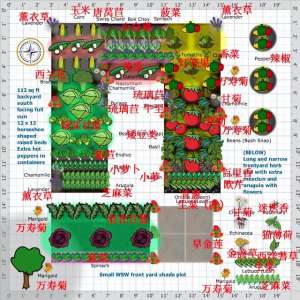种植规划书-一组一米菜园的蔬菜、花、香草混合种植规划图，收藏备用