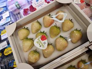 草莓种植赚钱吗-一颗草莓卖十多块钱郑州90后大学生靠种草莓月入3万