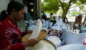 柬埔寨种植-进博·世界工匠｜为什么说世界上最好的大米出自柬埔寨人的稻田？
