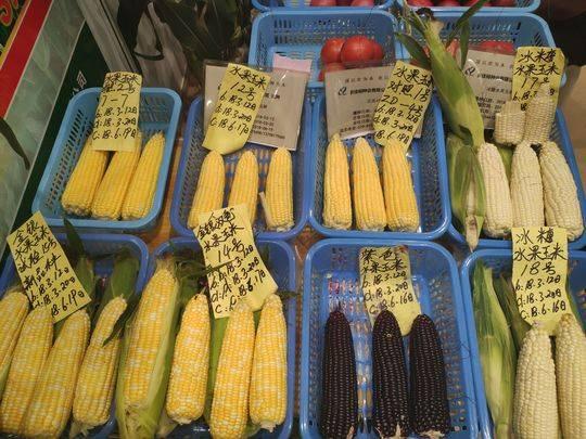 种七彩玉米、“编织”种子 农业还能这么玩？