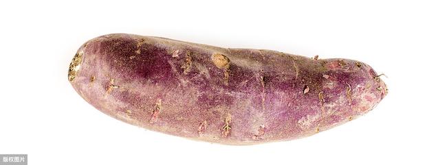 香甜高产紫薯的栽培技术，这些最重要，一看就会了