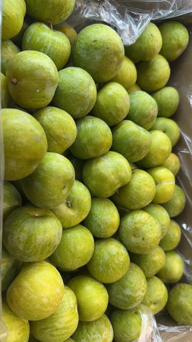 八月果市，桃子不想撤 西瓜葡萄占主场 石榴西梅早橘都来了