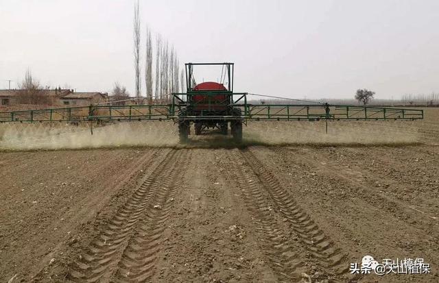 新疆南疆棉花绿色高产轻简化栽培技术规程