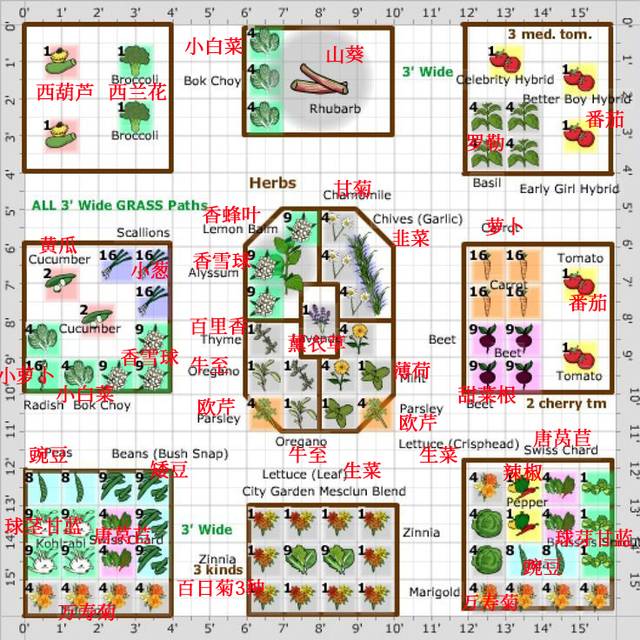 一组一米菜园的蔬菜、花、香草混合种植规划图，收藏备用