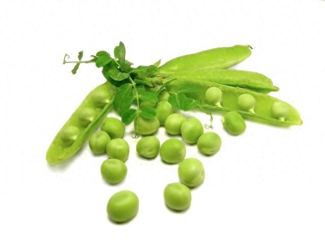豌豆种植方法及管理