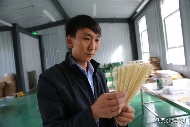 秦岭天麻王子：改良天麻栽培技术，试种一亩天麻两年收获40万元