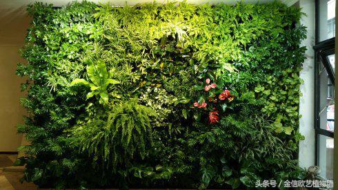 墙体绿化中植物的种植方法及绿化形式设计