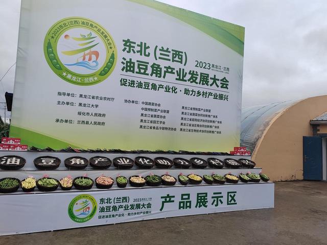 东北（兰西）油豆角产业发展大会在哈尔滨举行