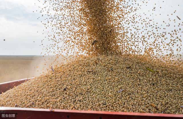 种植300多亩大豆，一年总收入21万元，这位种田大户如何达到的？