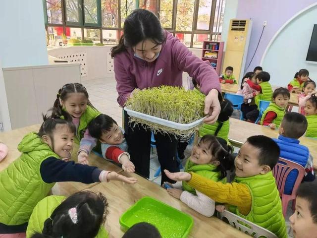 “植物小精灵千奇百态”——大众报业集团幼儿园大三班种植篇