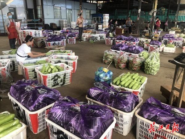 记者探访武汉各大种植基地和批发市场：蔬菜日采收量比消费量多一千多吨，供应很足