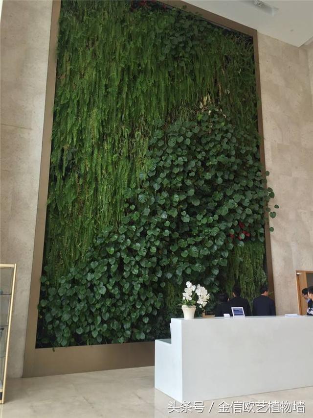 墙体绿化中植物的种植方法及绿化形式设计