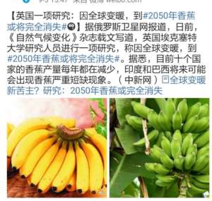 香蕉种植周期(随处可见的香蕉快要灭种了？这是怎么回事？)