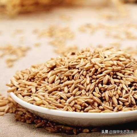 旱作莜麦栽培技术