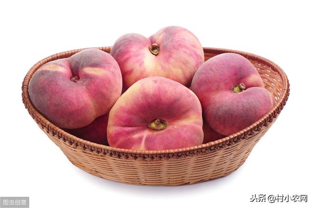 蟠桃营养丰富，很多人都爱吃，高产优质蟠桃又如何种吗？