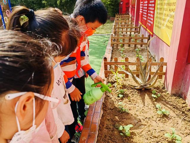 郑州市中原区百花艺术小学“种植节”正式启动