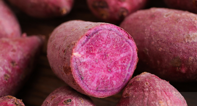 “薯界”明星——紫薯，按这3点种植，紫薯品质佳、产量优