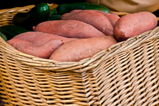 优质豆薯的栽培技术，学会科学种植方法，才能更有效提高产量