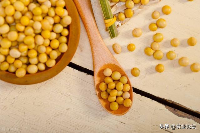 2022年黑龙江大豆种植面积具体是多少？还会有补贴吗？