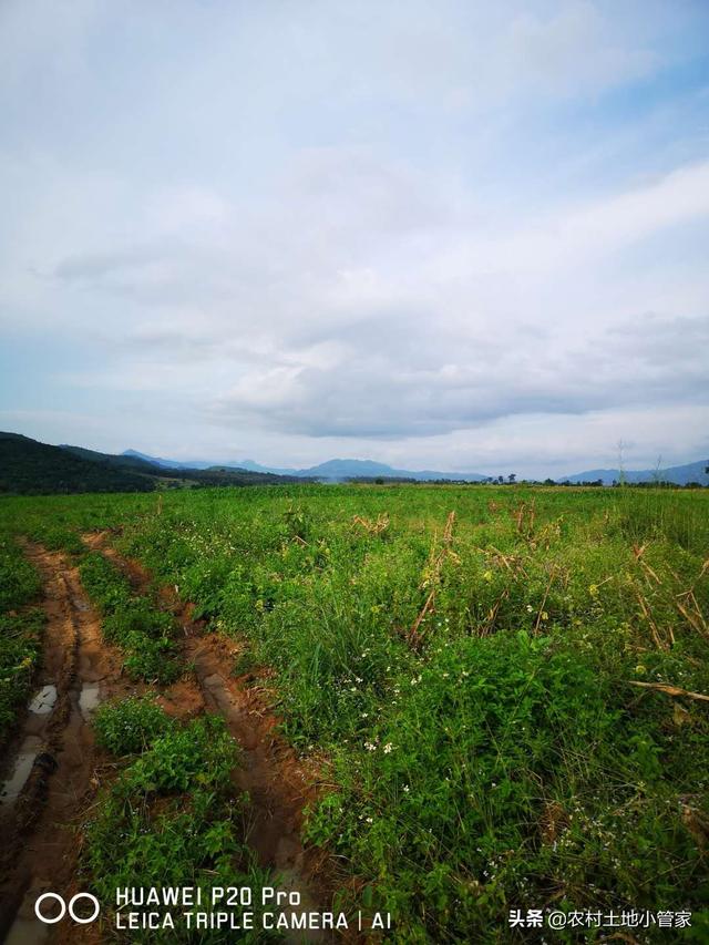 老挝6000亩水浇地出租，适合种植西瓜等反季节蔬菜瓜果