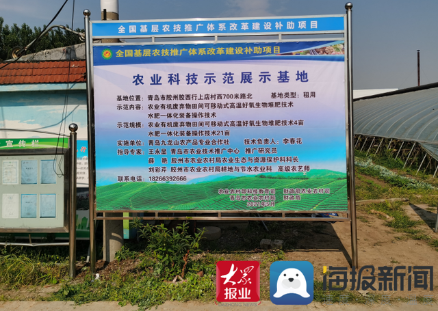 青岛九龙山农产品专业合作社：推广高温好氧生物堆肥技术和水肥一体化技术