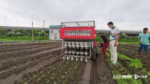 菜苗种植机(1小时可种近万株蔬菜广州展示蔬菜生产“机器换人”新水平)