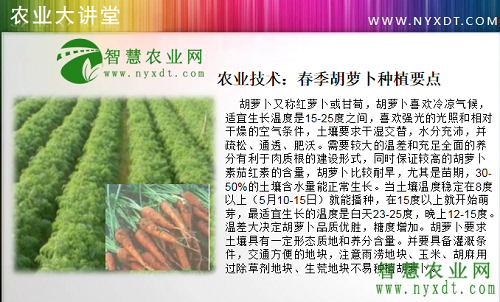 农业技术：春季胡萝卜种植要点