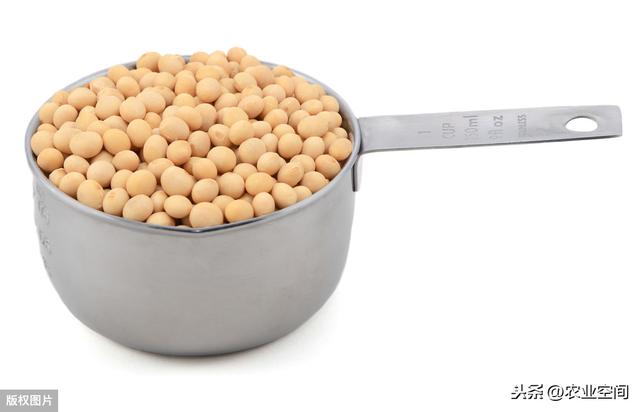 小粒黄豆是日本制作传统食品纳豆的原料，价格好，小粒黄豆的栽培