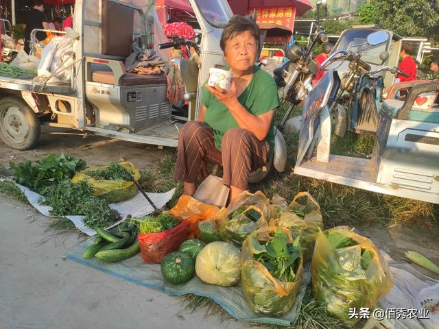 菜市场逐渐消失的农村“自卖头”，爱卖热门蔬菜，价格是亮点