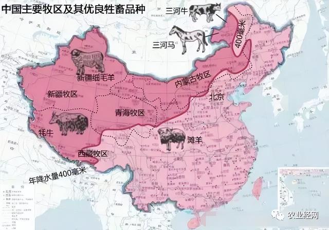 中国农业分布是怎样的，主要农产品、特色农产品的产区都在哪里？