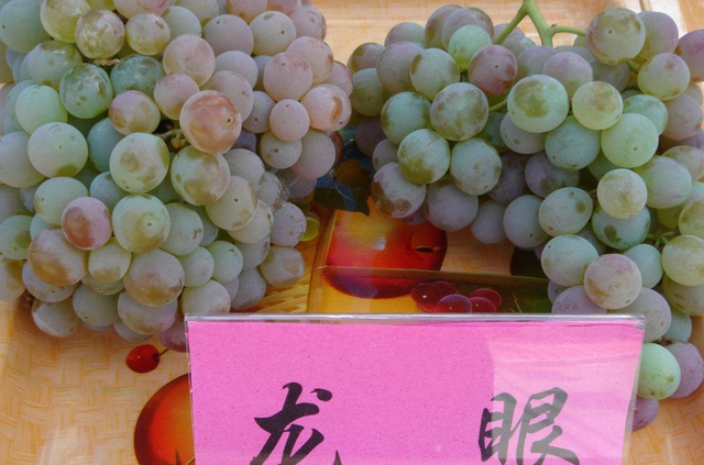 被日本否定过的巨峰葡萄，引入我国后，为什么火得家喻户晓？