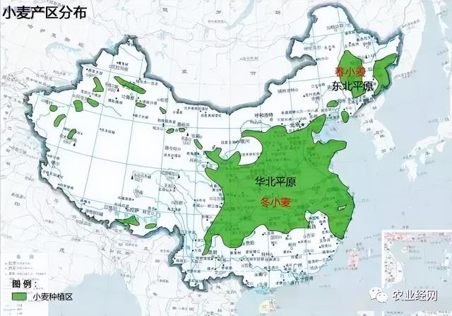 中国农业分布是怎样的，主要农产品、特色农产品的产区都在哪里？