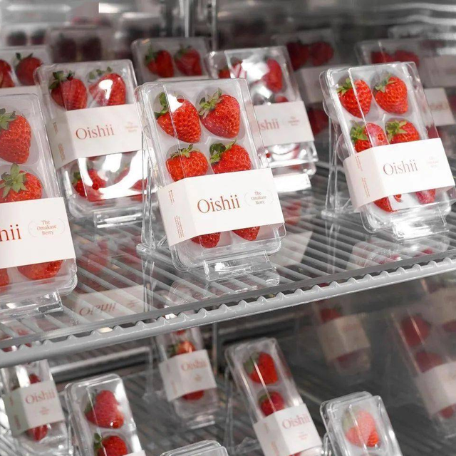 一盒草莓11颗卖50美元，日本小伙在美国建室内垂直农场，有啥启发