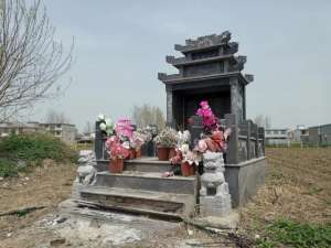 种植砖价格(安徽亳州部分麦田“长”出豪华墓，有的成本超10万元)