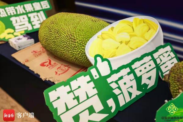 海南发布菠萝蜜团体标准 探索破解产销对接难题