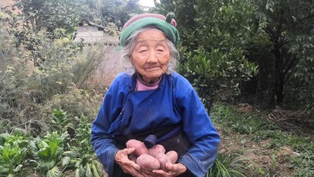 小山村种植的红皮土豆，软糯香甜，随便炖一锅都能吃的满满舒心