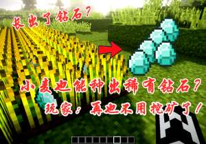 我的世界矿物种植(在Minecraft如何将“小麦”转换为稀有钻石？你还在挖矿？别傻了)