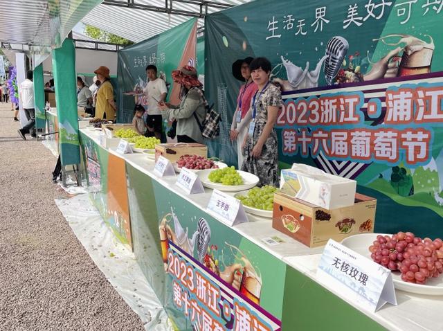 浦江葡萄节又开幕，24个试吃品种哪个最先“光盘”？
