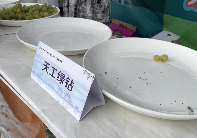 浦江葡萄节又开幕，24个试吃品种哪个最先“光盘”？